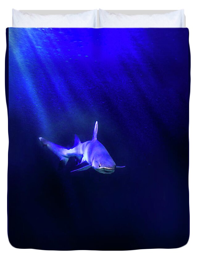 Shark Duvet Cover featuring the photograph Shark by Jill Battaglia