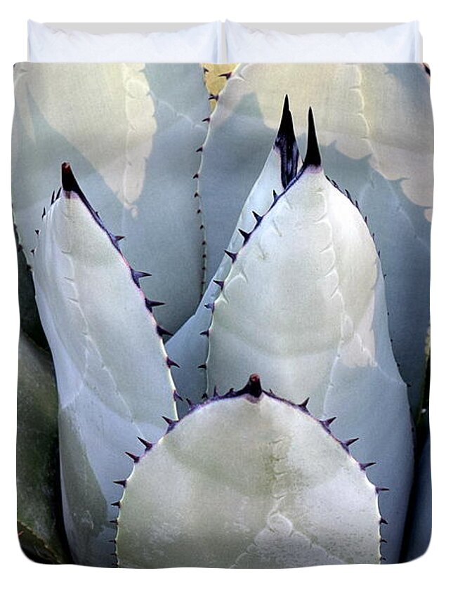 Flower Duvet Cover featuring the photograph Sharp by Deborah Crew-Johnson