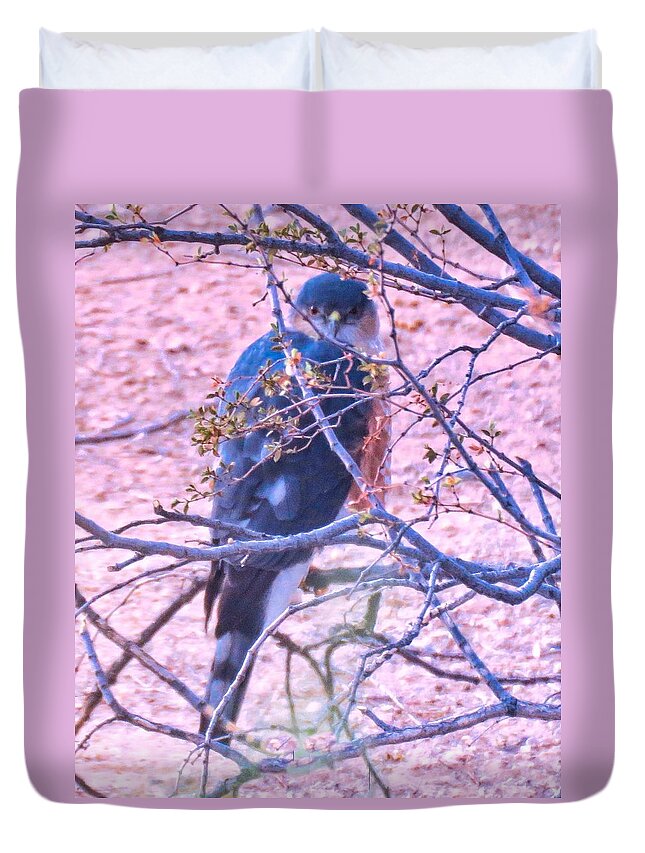 Accipiter Duvet Cover featuring the photograph Sharp-Shinned Hawk Hunting in the Desert 2 by Judy Kennedy
