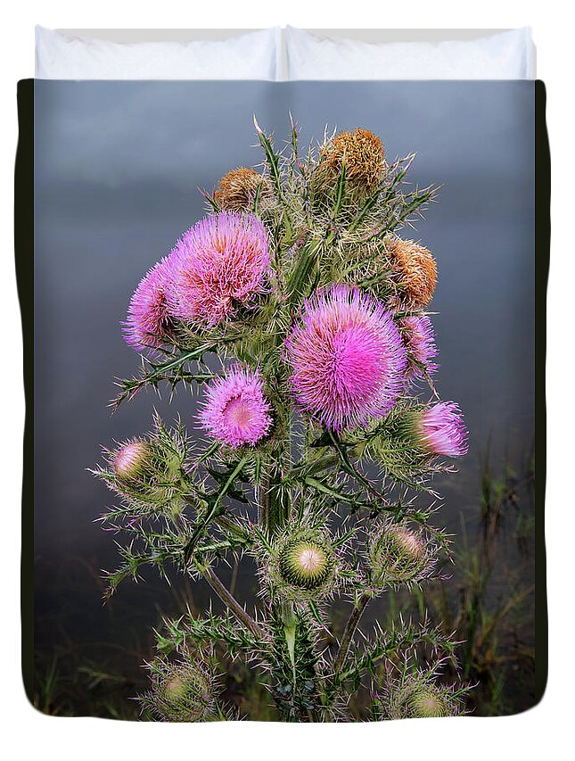 Nature Duvet Cover featuring the photograph Sharp Thistle by Arthur Dodd