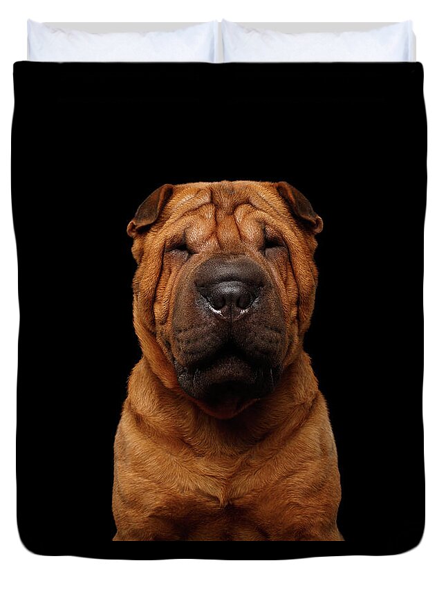 Dog Duvet Cover featuring the photograph Sharpei Dog Isolated on Black Background by Sergey Taran