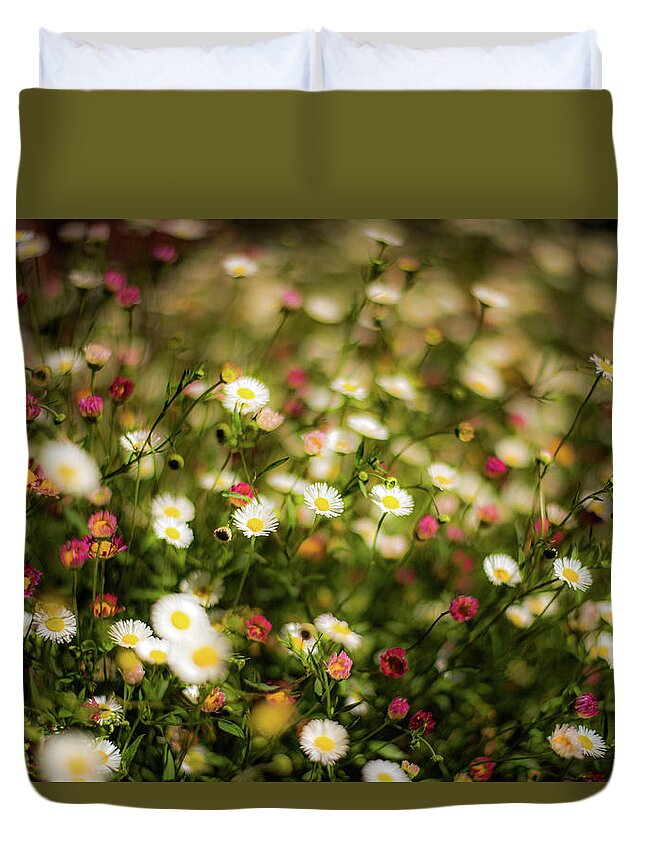  Duvet Cover featuring the photograph Shasta Daisies by Wendy Carrington