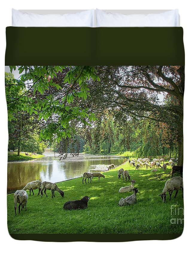Animals Duvet Cover featuring the photograph Sheep in a park by Patricia Hofmeester