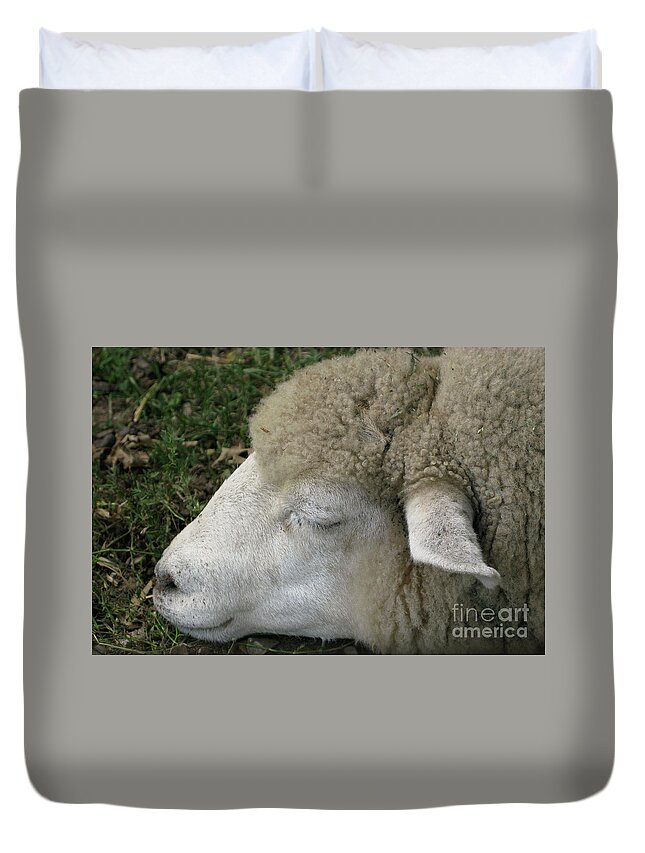 Sheep Duvet Cover featuring the photograph Sheep Sleep by Ann Horn