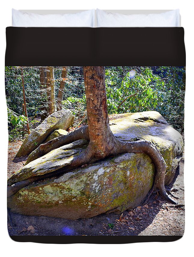 Sheer Determination Duvet Cover featuring the photograph Sheer Determination by Lisa Wooten