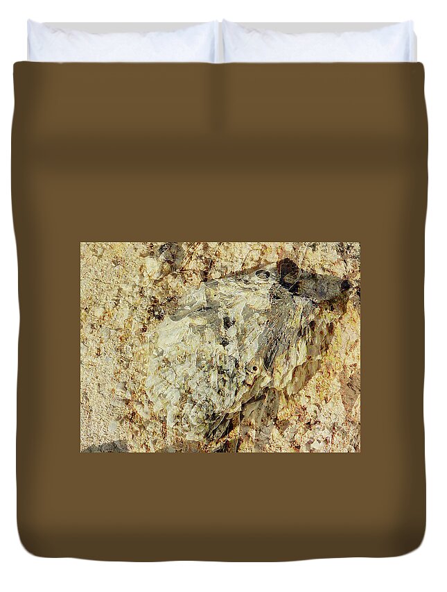 Shell Duvet Cover featuring the photograph Shell Sand by Stephanie Grant