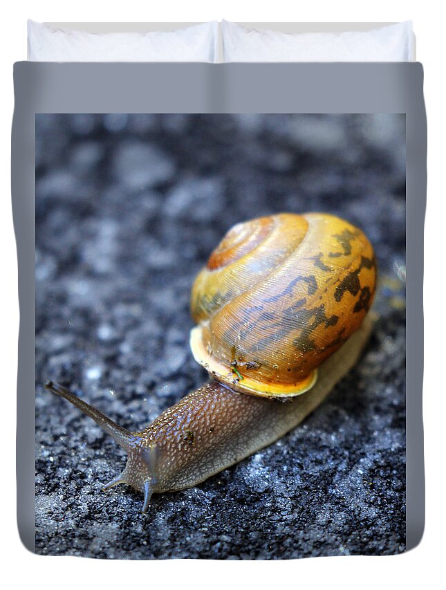Snail Duvet Cover featuring the photograph Shell Shock by Jennifer Robin