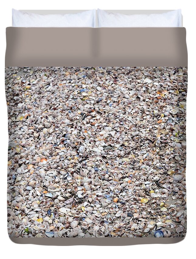Shells Duvet Cover featuring the photograph Shells by Dani McEvoy