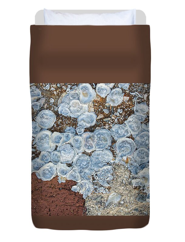 Abstracts Duvet Cover featuring the photograph Shells on Sand by Marilyn Cornwell