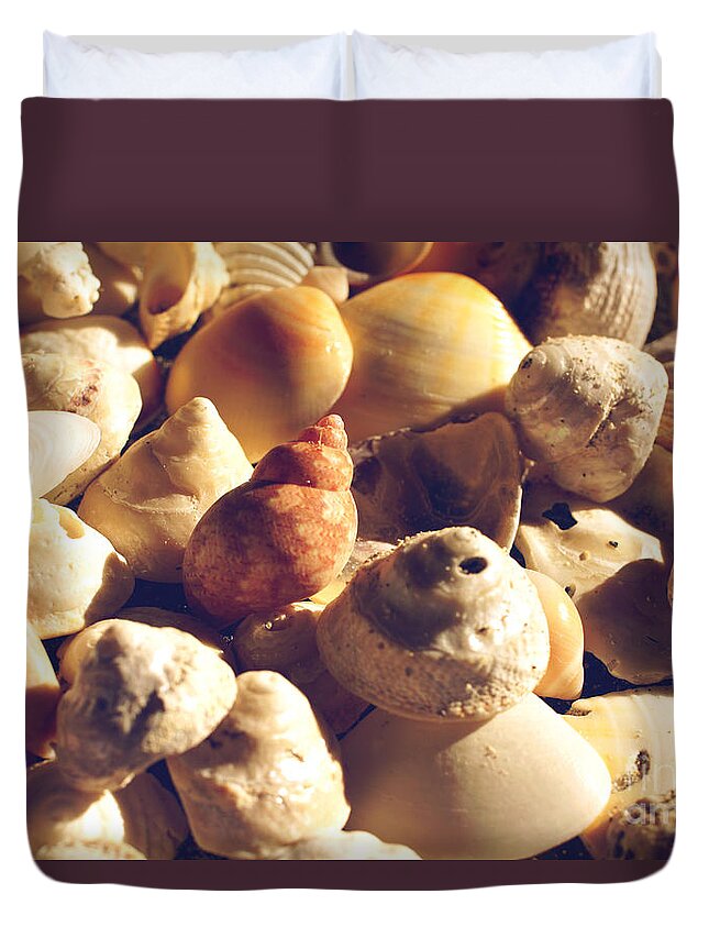 Mollusc Duvet Cover featuring the photograph Shells XIII by Cassandra Buckley