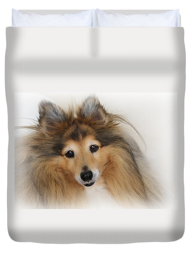 Sheltie Dog A Sweet Natured Smart Pet Duvet Cover For Sale By
