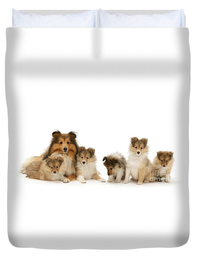 Shetland Sheepdog Duvet Cover featuring the photograph Shetland Sheepdog family by Warren Photographic