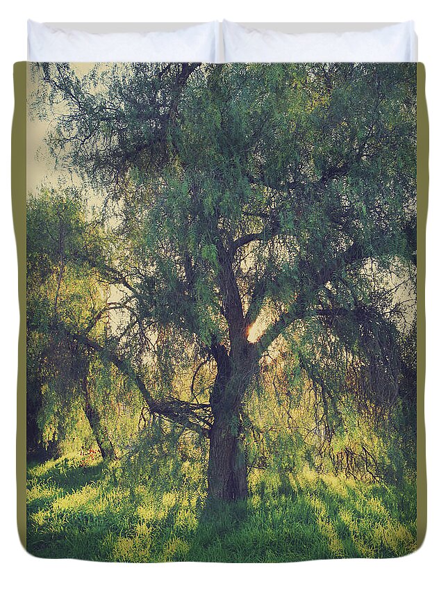 Trees Duvet Cover featuring the photograph Shine Your Light by Laurie Search