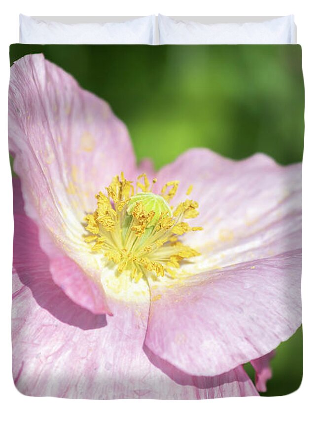 Shirley Poppy Duvet Cover featuring the photograph Shirley Poppy 2018-1 by Thomas Young