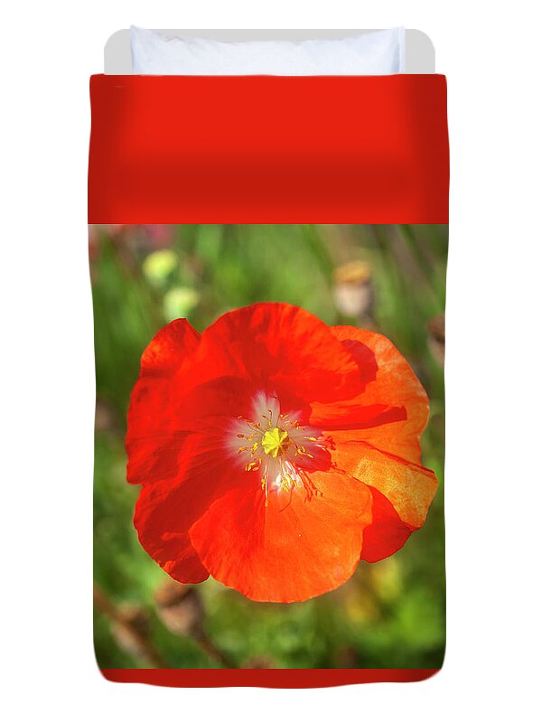 Shirley Poppy Duvet Cover featuring the photograph Shirley Poppy 2018-10 by Thomas Young