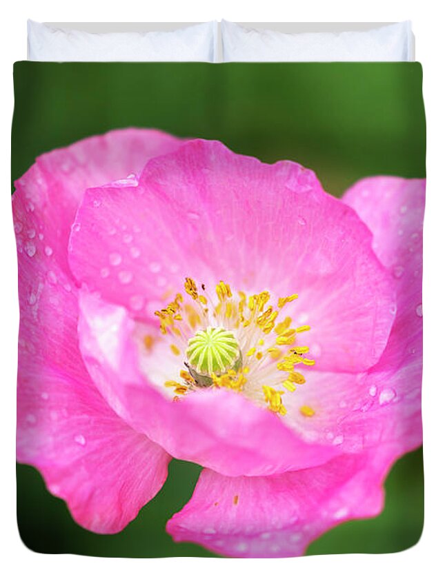 Shirley Poppy Duvet Cover featuring the photograph Shirley Poppy 2018-7 by Thomas Young