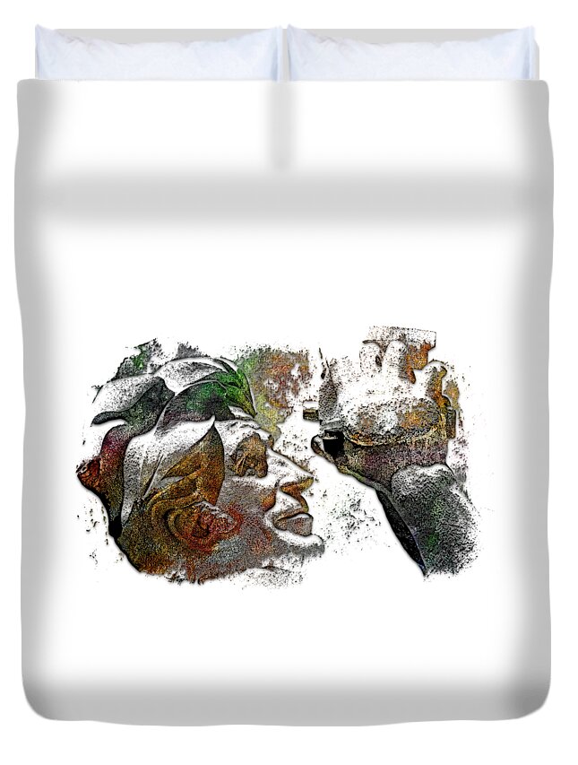 Muted Rainbow Duvet Cover featuring the photograph Shoot For The Sky Muted Rainbow 3 Dimensional by DiDesigns Graphics