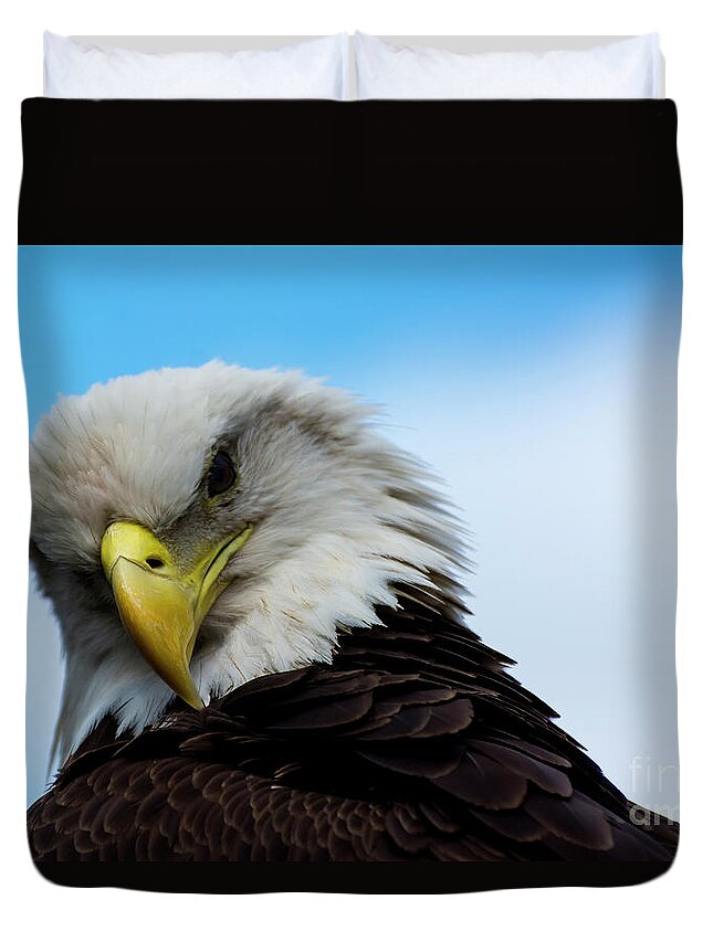 Eagle Duvet Cover featuring the photograph Shoulder look by Quinn Sedam