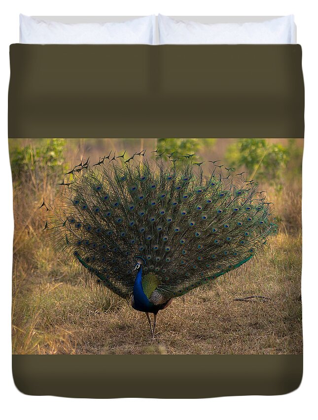 Peacock Duvet Cover featuring the photograph Showoff by Ramabhadran Thirupattur