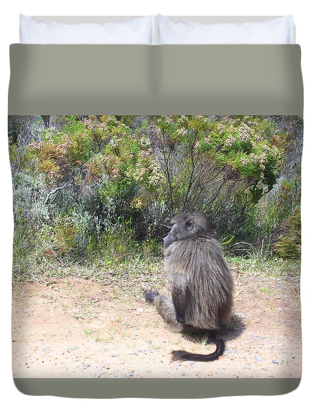 Baboon Shunning Duvet Cover featuring the photograph Shunned by a Baboon by Bev Conover