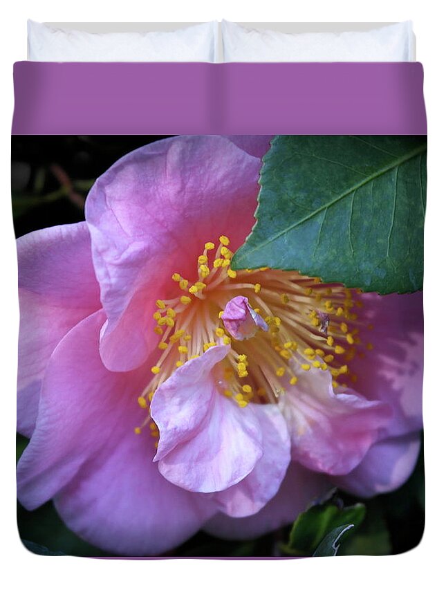 Flower Duvet Cover featuring the photograph Shy Beauty by Michele Myers