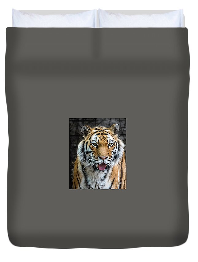 Siberian Tiger Duvet Cover featuring the photograph Siberian Tiger Smile by Joann Long