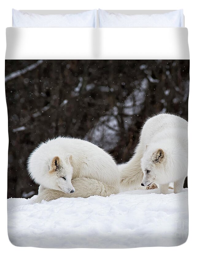 Nina Stavlund Duvet Cover featuring the photograph Sibling Love by Nina Stavlund