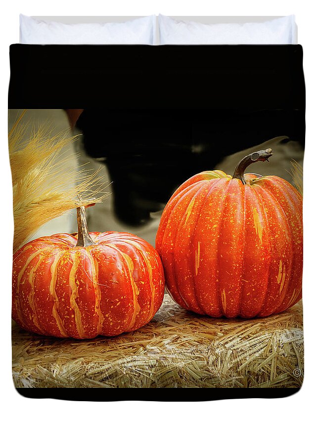 Pumpkin Duvet Cover featuring the photograph Siblings Pumpkins by Les Greenwood