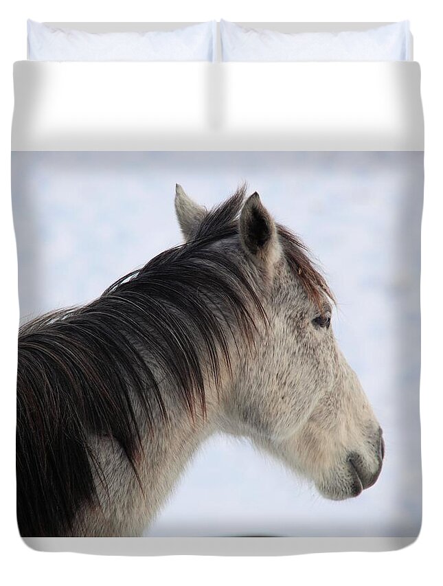 Horse Duvet Cover featuring the photograph Side View by Kathryn Cornett