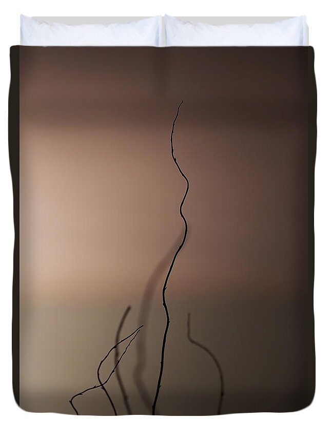 Stick Duvet Cover featuring the photograph Silence by Evelina Kremsdorf