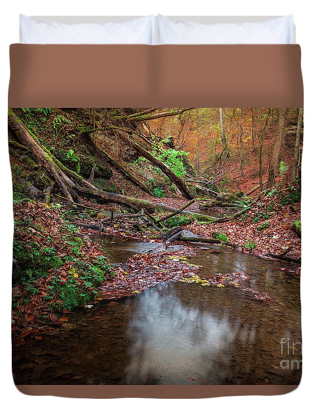 Autumn Duvet Cover featuring the photograph Silent Glowing Fall by Hannes Cmarits