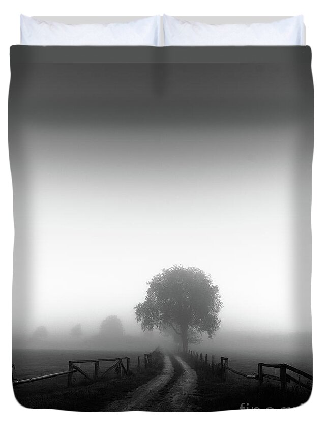 Tree Duvet Cover featuring the photograph Silent Morning by Franziskus Pfleghart