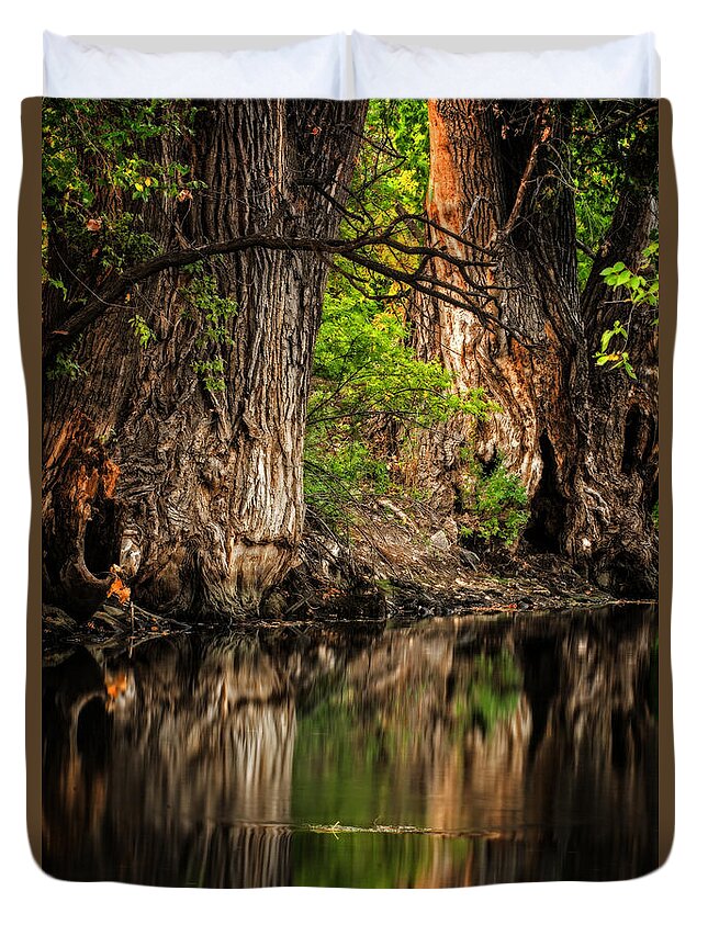 Water Duvet Cover featuring the photograph Silent River by Scott Read