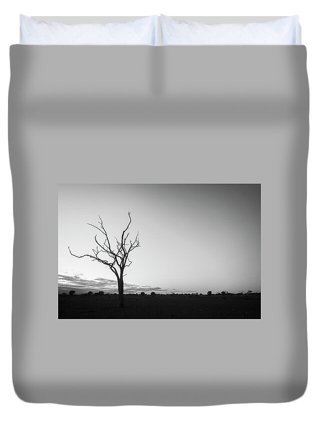 Tree Duvet Cover featuring the photograph Silhouette of a Bare Tree by Catherine Reading