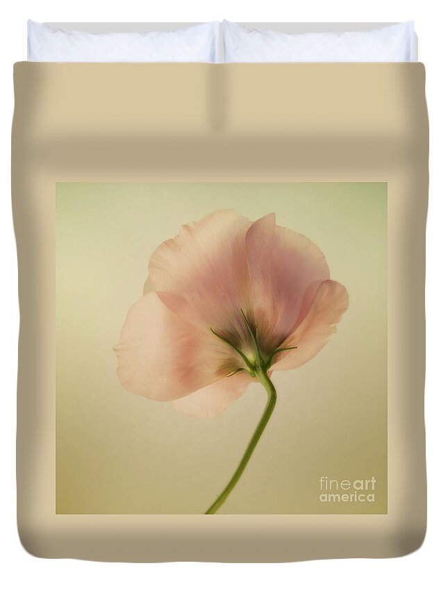 Eustoma Duvet Cover featuring the photograph Silk by Priska Wettstein