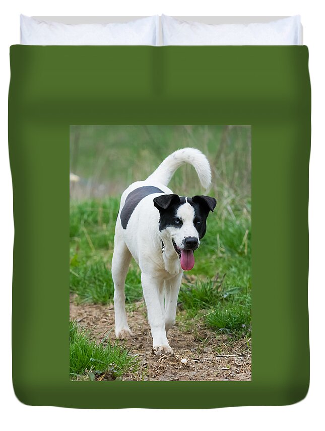 Dog Duvet Cover featuring the photograph Silly Dog by Holden The Moment
