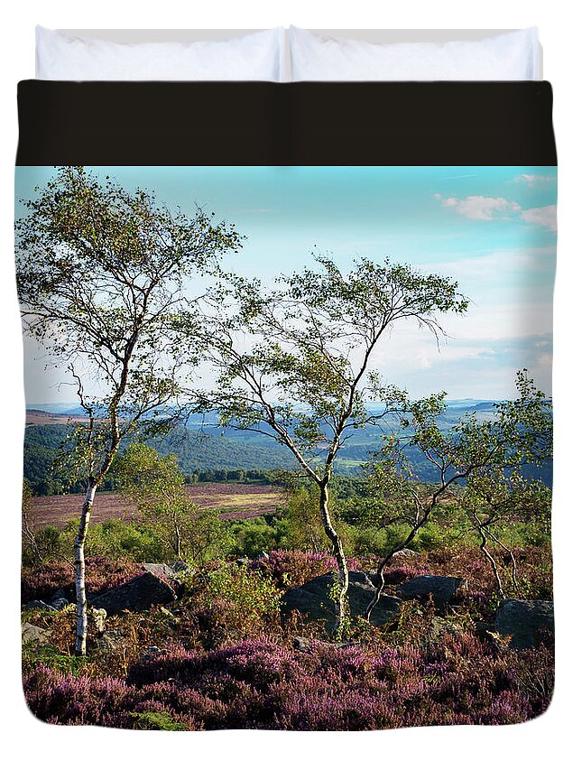 Silver Birch Duvet Cover featuring the photograph Silver Birch at Surprise View by Tim Clark