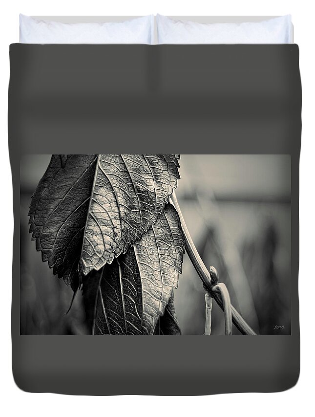 Black Duvet Cover featuring the photograph Silvery Leaf III Toned by David Gordon