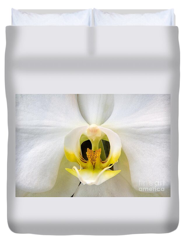 Simplicitymoth Orchid Duvet Cover featuring the photograph Simplicity by Jemmy Archer