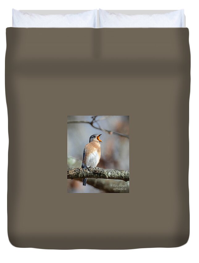 Bluebird Duvet Cover featuring the photograph Singing This Song For You by Amy Porter