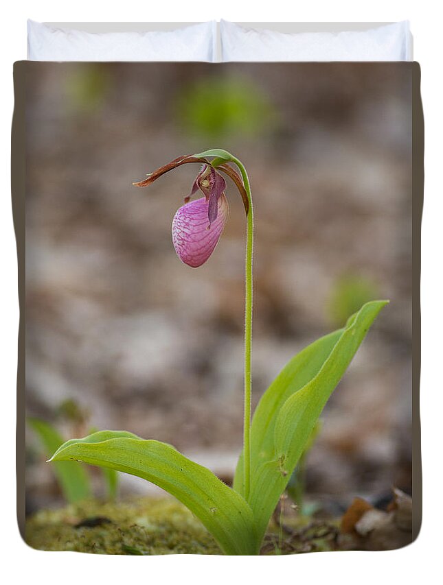 Spring Duvet Cover featuring the photograph Single by Joye Ardyn Durham