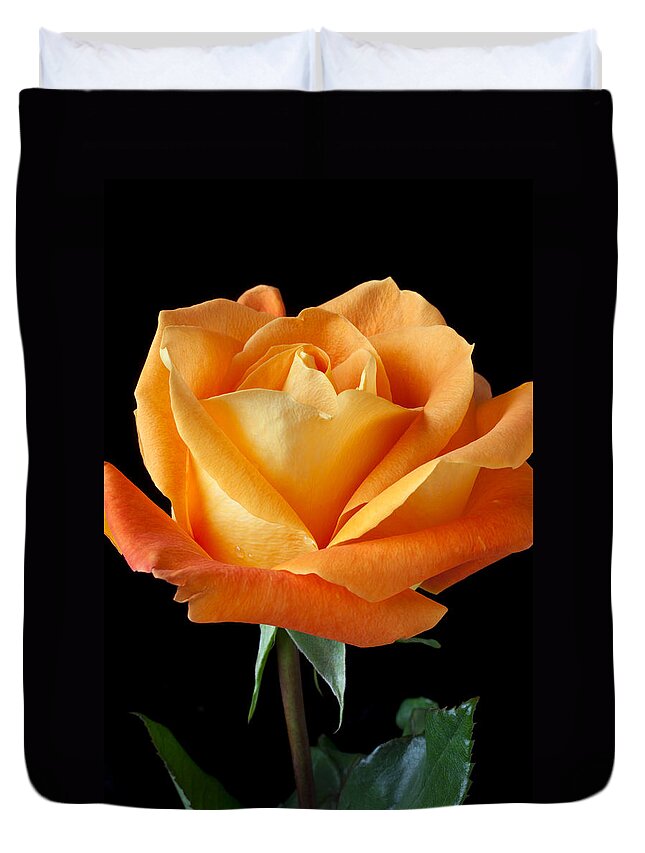 Single Duvet Cover featuring the photograph Single Orange Rose by Garry Gay