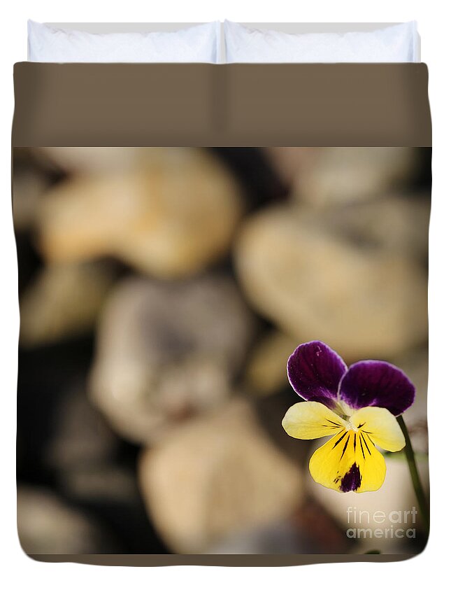 Pansy Duvet Cover featuring the photograph Single Pansy by David Frederick