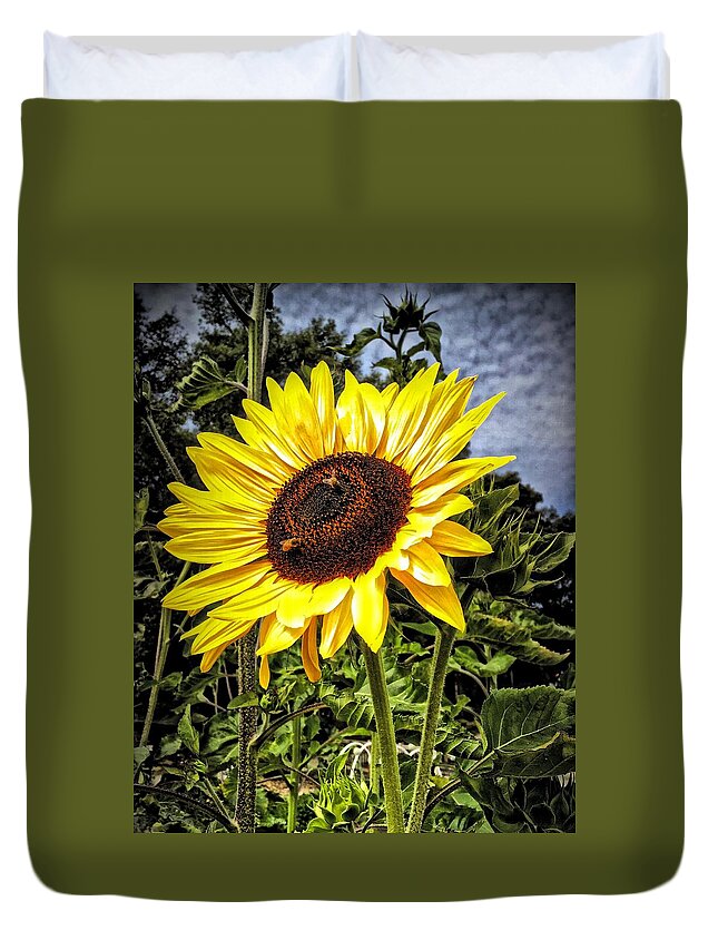 Sun Duvet Cover featuring the photograph Single Sunflower by Steph Gabler