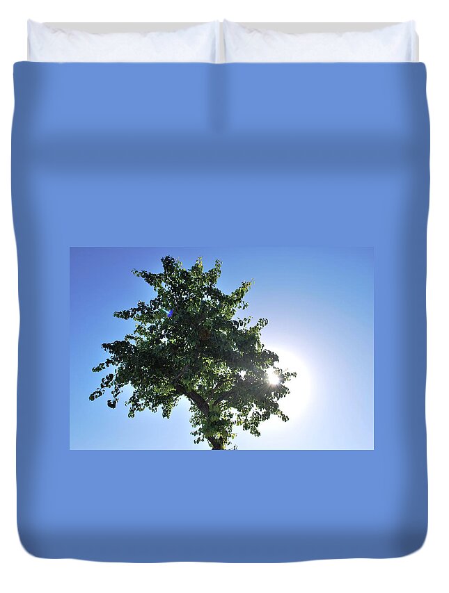 Tree Duvet Cover featuring the photograph Single Tree - Sun and Blue Sky by Matt Quest