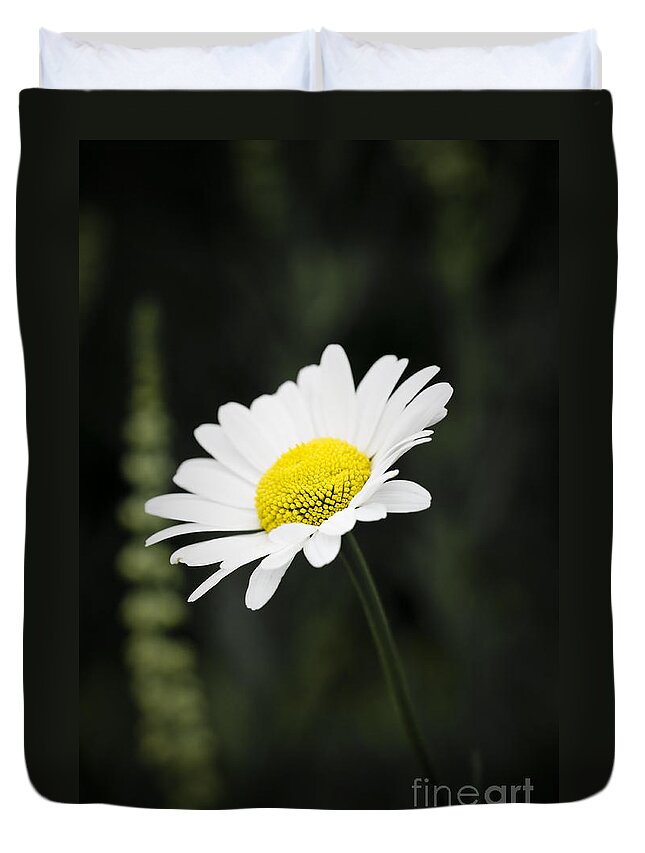 Flower Duvet Cover featuring the photograph Single wild daisy by Simon Bratt