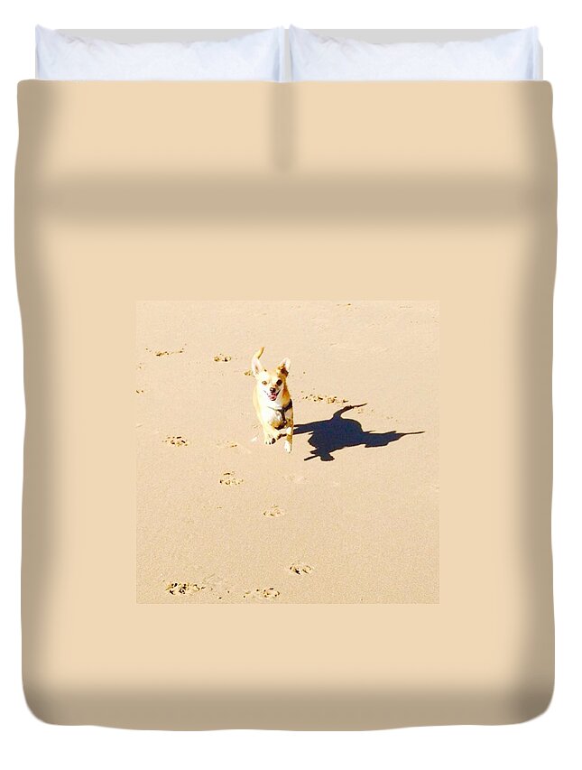 Beach Duvet Cover featuring the photograph Beach chihuahua by Kerry Taylor