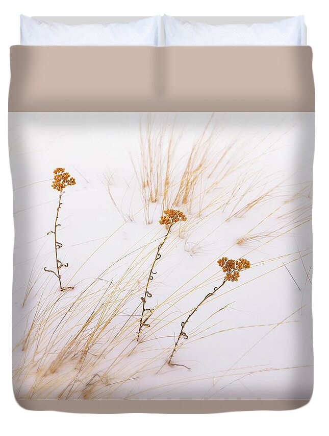 Winter Duvet Cover featuring the photograph Sisters by Allan Van Gasbeck
