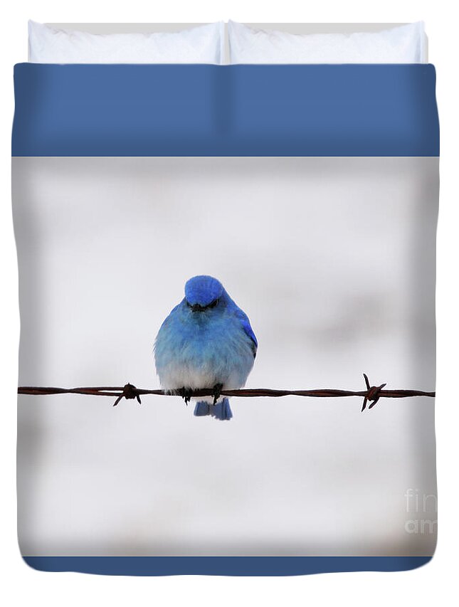 Sitting On Barbed Wire Duvet Cover featuring the photograph Sitting on Barbed Wire by Alyce Taylor