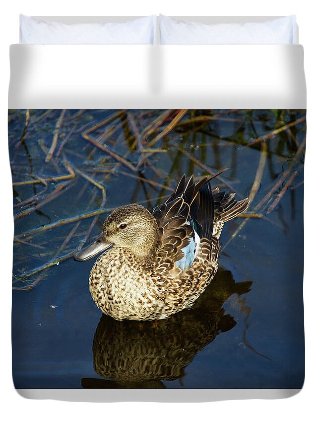 Nature Duvet Cover featuring the photograph Sitting Pretty by Arthur Dodd